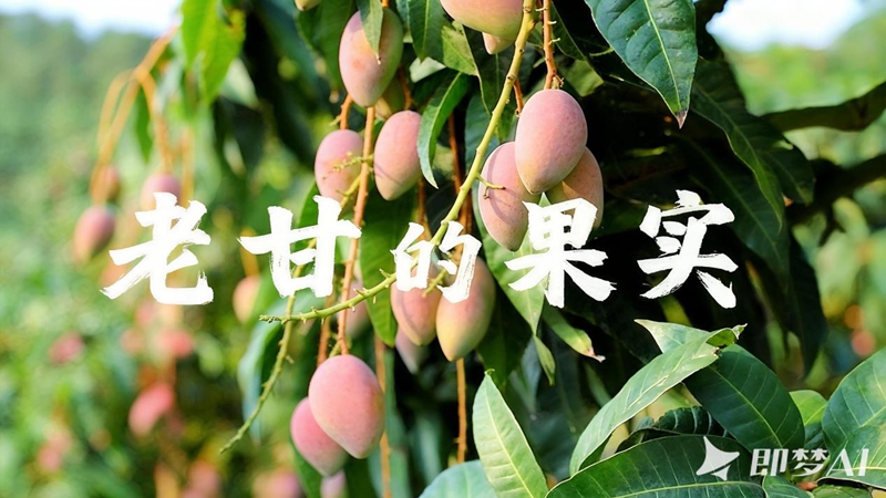 1763871258708402.jpg 图片4.jpg